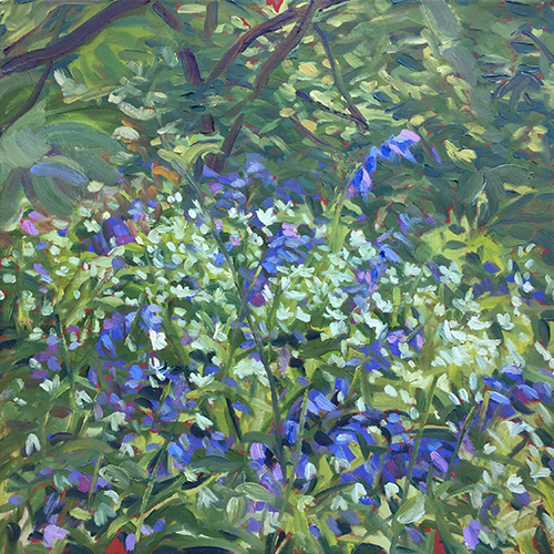 Bluebells and wild garlic by Stuart Nurse