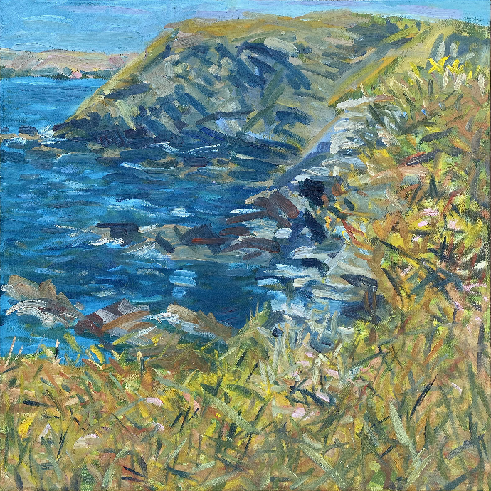 Cove near Gwithian, June 2022 by Stuart Nurse