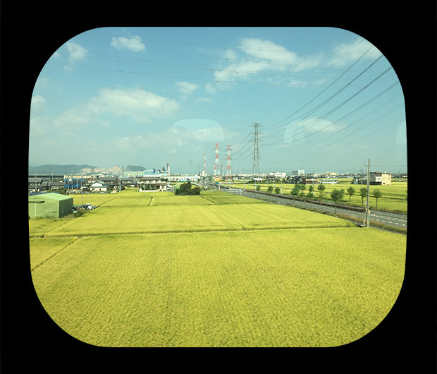 View from the Shinkansen 13