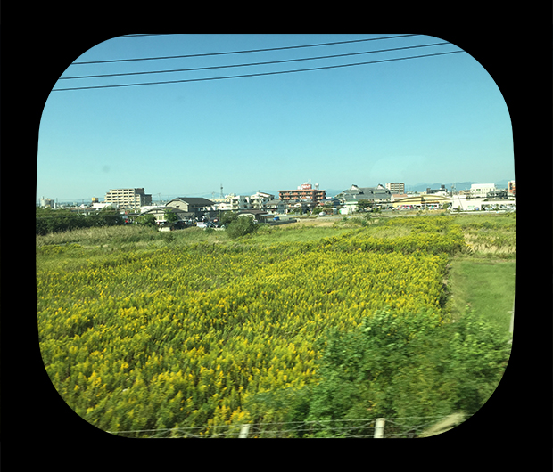 View from the Shinkansen 26