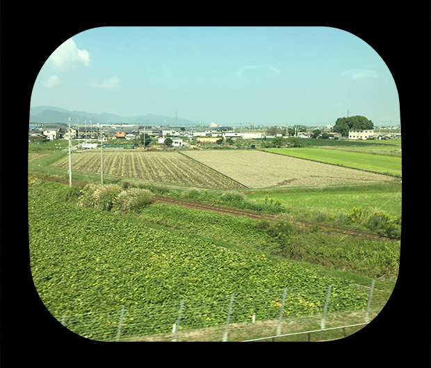 View from the Shinkansen 5