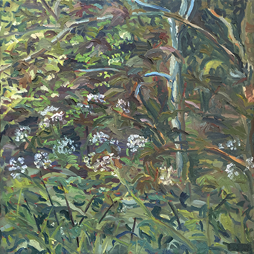 Sycamore leaves and White flowers, 2017 by Stuart Nurse